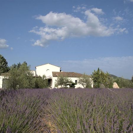 Villa Otilia-Bed And Breakfast-Chambres D'Hotes En Provence Rians  Bagian luar foto