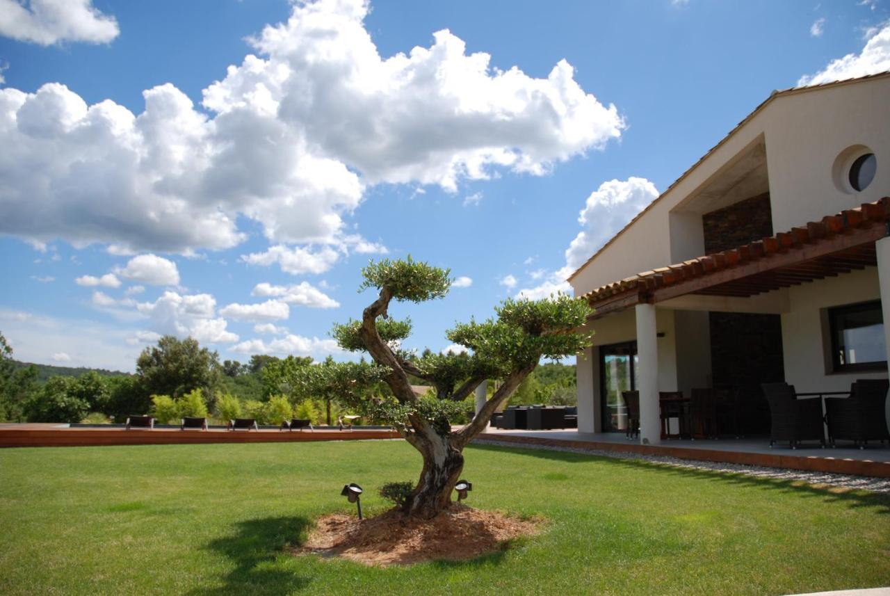 Villa Otilia-Bed And Breakfast-Chambres D'Hotes En Provence Rians  Bagian luar foto