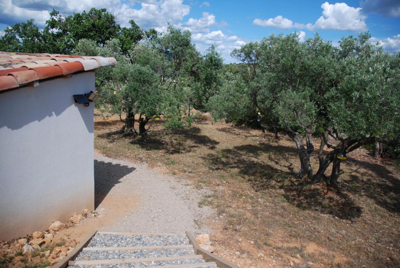 Villa Otilia-Bed And Breakfast-Chambres D'Hotes En Provence Rians  Bagian luar foto